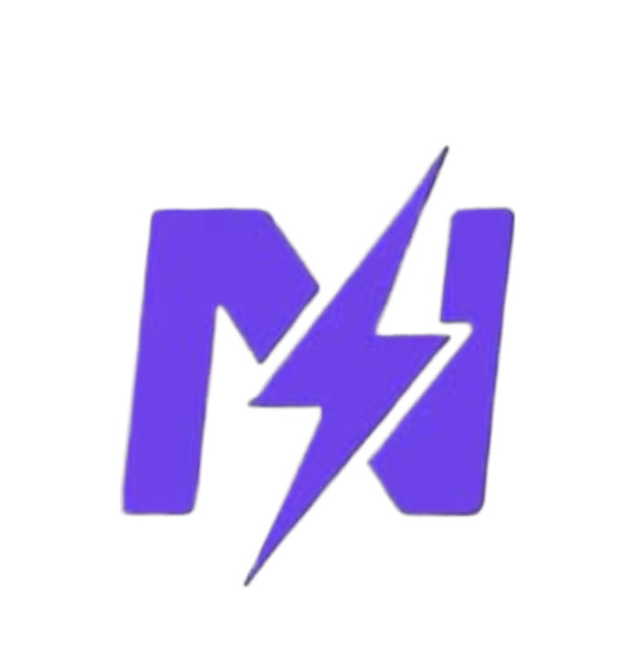 Next Hosting Logo
